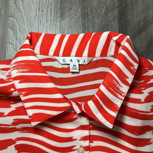 CAbi Brushstroke Pleated Sleeveless Button Drop Waist Midi Dress - Medium - Picture 6 of 8